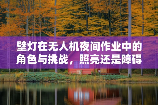 壁灯在无人机夜间作业中的角色与挑战，照亮还是障碍？