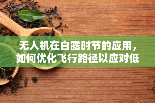 无人机在白露时节的应用，如何优化飞行路径以应对低能见度？
