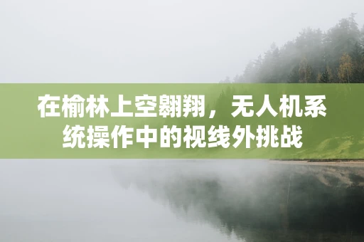 在榆林上空翱翔，无人机系统操作中的视线外挑战