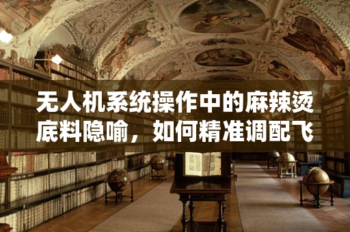 无人机系统操作中的麻辣烫底料隐喻，如何精准调配飞行任务？