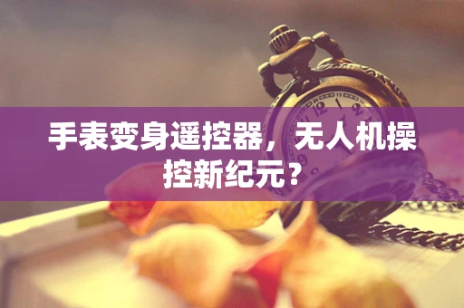 手表变身遥控器，无人机操控新纪元？