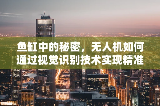 鱼缸中的秘密，无人机如何通过视觉识别技术实现精准定位？
