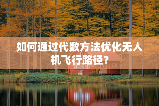 如何通过代数方法优化无人机飞行路径？