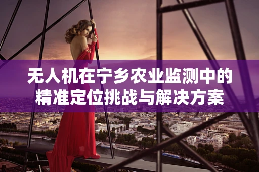 无人机在宁乡农业监测中的精准定位挑战与解决方案