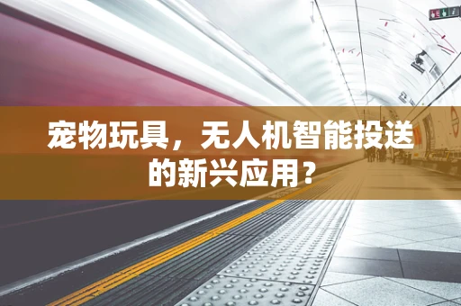宠物玩具，无人机智能投送的新兴应用？