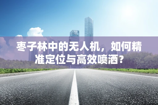 枣子林中的无人机，如何精准定位与高效喷洒？