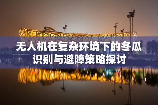 无人机在复杂环境下的冬瓜识别与避障策略探讨