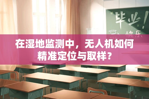 在湿地监测中，无人机如何精准定位与取样？