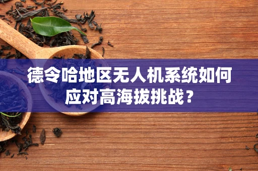 德令哈地区无人机系统如何应对高海拔挑战？