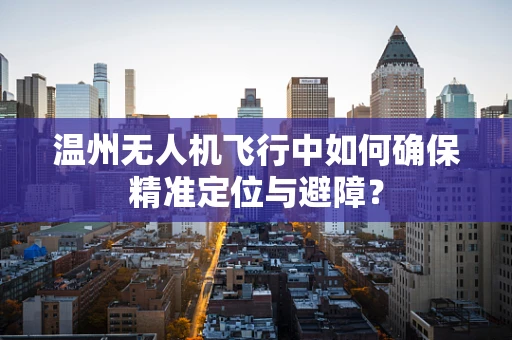 温州无人机飞行中如何确保精准定位与避障？