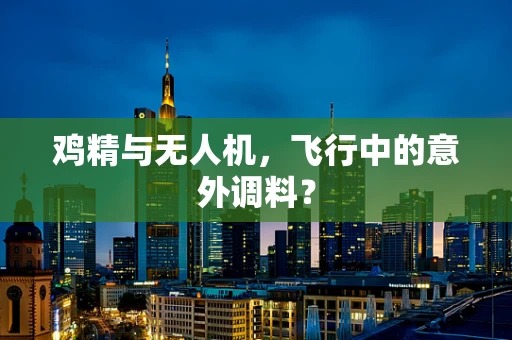 鸡精与无人机，飞行中的意外调料？