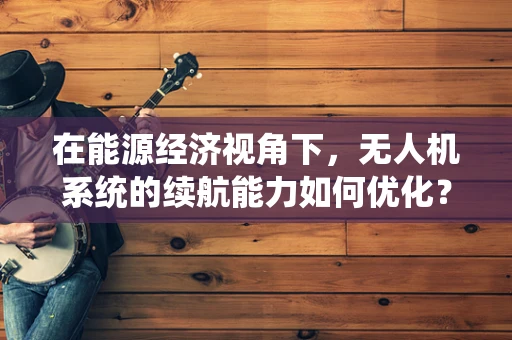 在能源经济视角下，无人机系统的续航能力如何优化？