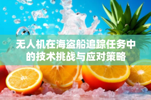 无人机在海盗船追踪任务中的技术挑战与应对策略