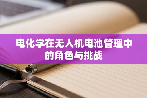 电化学在无人机电池管理中的角色与挑战