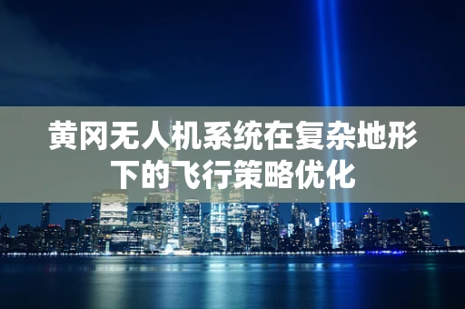 黄冈无人机系统在复杂地形下的飞行策略优化