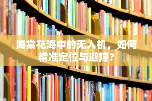 海棠花海中的无人机，如何精准定位与避障？
