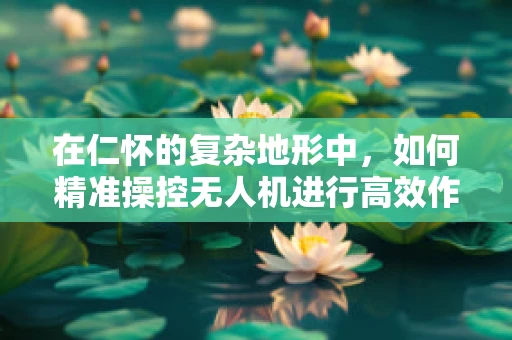在仁怀的复杂地形中，如何精准操控无人机进行高效作业？