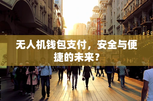 无人机钱包支付，安全与便捷的未来？