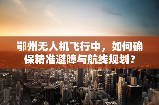 鄂州无人机飞行中，如何确保精准避障与航线规划？