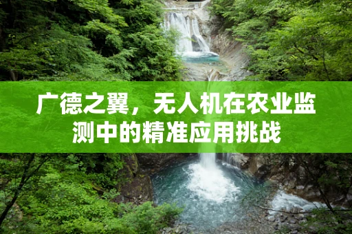 广德之翼，无人机在农业监测中的精准应用挑战