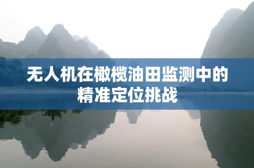 无人机在橄榄油田监测中的精准定位挑战