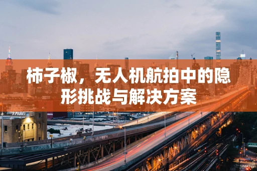 柿子椒，无人机航拍中的隐形挑战与解决方案