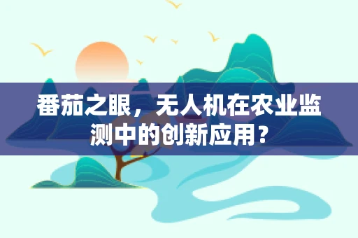番茄之眼，无人机在农业监测中的创新应用？