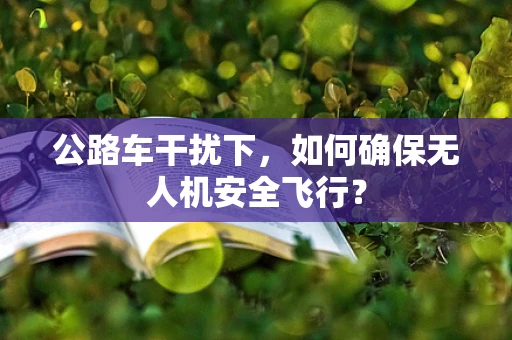 公路车干扰下，如何确保无人机安全飞行？