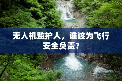 无人机监护人，谁该为飞行安全负责？