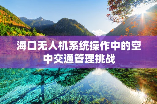 海口无人机系统操作中的空中交通管理挑战