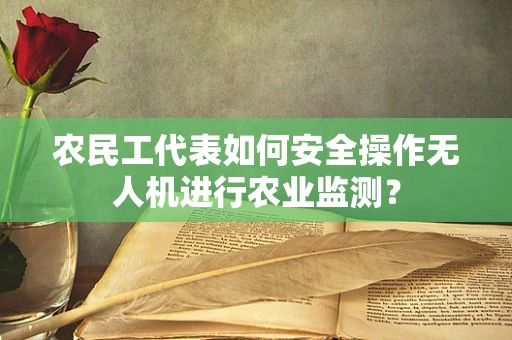 农民工代表如何安全操作无人机进行农业监测？
