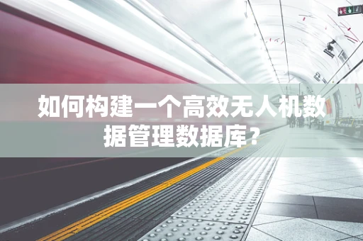 如何构建一个高效无人机数据管理数据库？