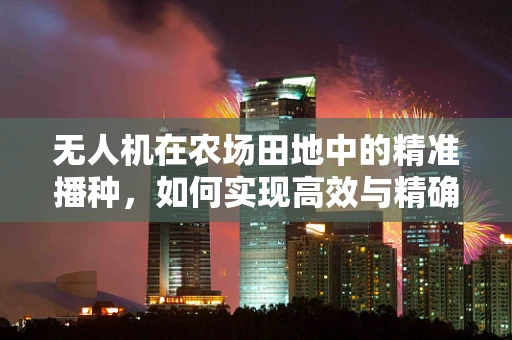 无人机在农场田地中的精准播种，如何实现高效与精确的平衡？