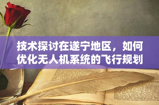 技术探讨在遂宁地区，如何优化无人机系统的飞行规划以减少地形影响？
