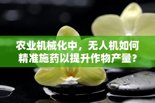 农业机械化中，无人机如何精准施药以提升作物产量？