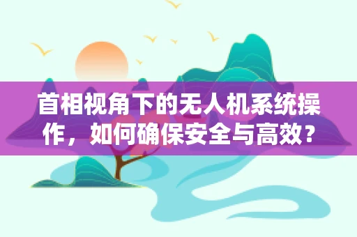 首相视角下的无人机系统操作，如何确保安全与高效？