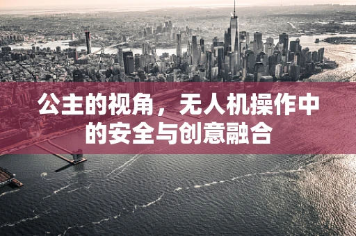 公主的视角，无人机操作中的安全与创意融合