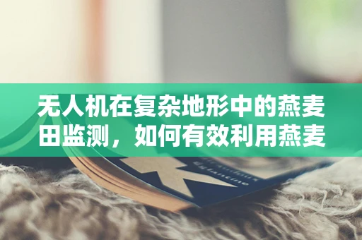 无人机在复杂地形中的燕麦田监测，如何有效利用燕麦作为地标？