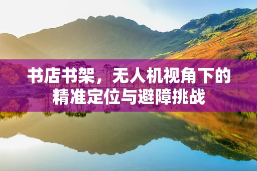 书店书架，无人机视角下的精准定位与避障挑战