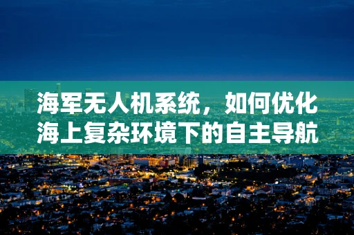 海军无人机系统，如何优化海上复杂环境下的自主导航与避障？