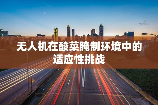 无人机在酸菜腌制环境中的适应性挑战