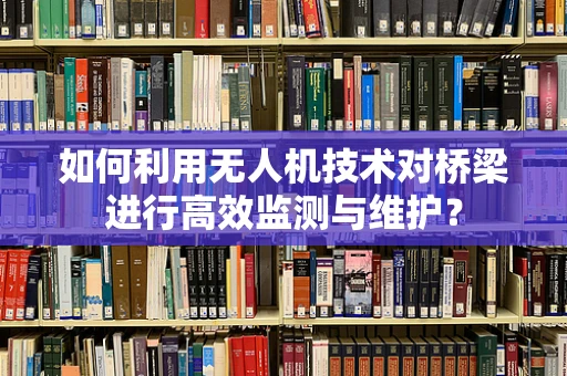 如何利用无人机技术对桥梁进行高效监测与维护？