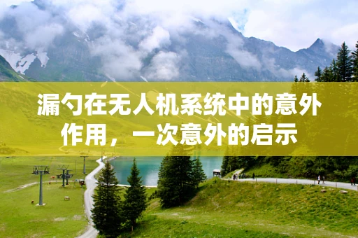 漏勺在无人机系统中的意外作用，一次意外的启示