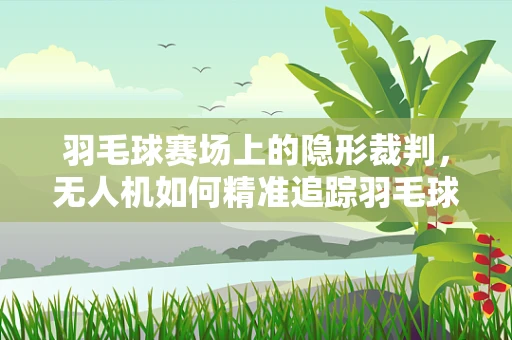 羽毛球赛场上的隐形裁判，无人机如何精准追踪羽毛球轨迹？