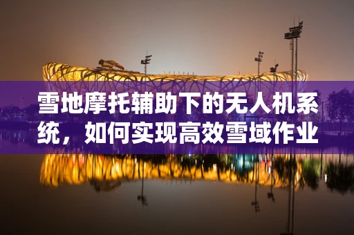 雪地摩托辅助下的无人机系统，如何实现高效雪域作业？