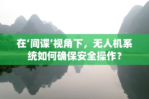 在‘间谍’视角下，无人机系统如何确保安全操作？
