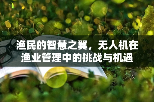 渔民的智慧之翼，无人机在渔业管理中的挑战与机遇