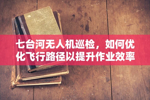 七台河无人机巡检，如何优化飞行路径以提升作业效率？