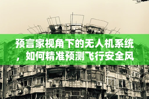 预言家视角下的无人机系统，如何精准预测飞行安全风险？