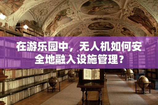 在游乐园中，无人机如何安全地融入设施管理？